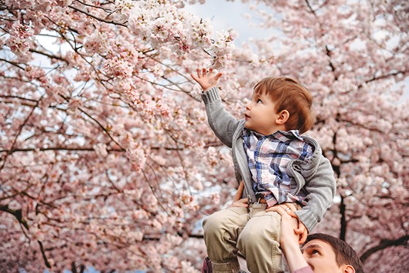 PortlandCherryBlosson-FamilyPhotographer